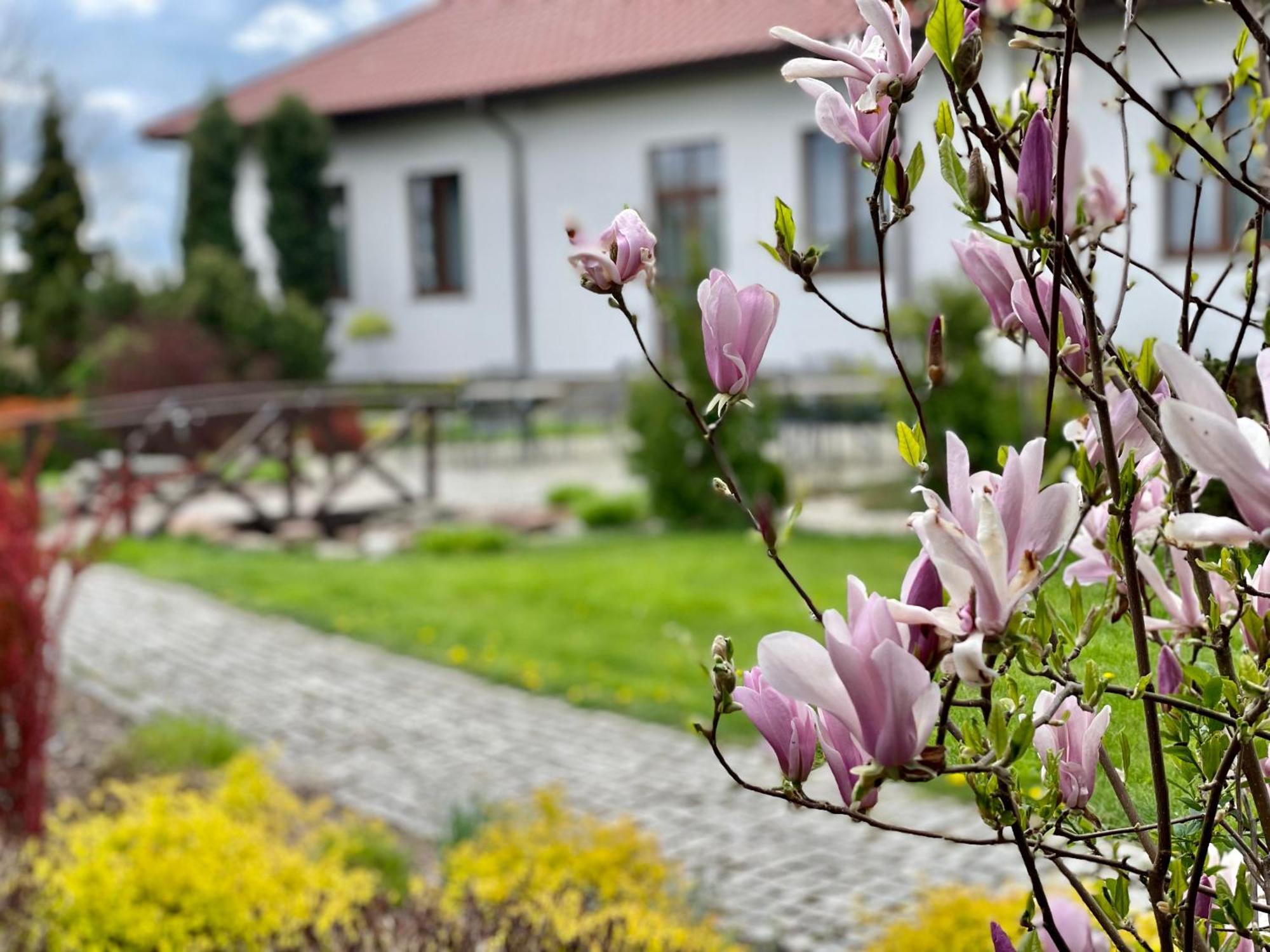 Bed and Breakfast Gosciniec "Nad Warta" Унеюв Экстерьер фото